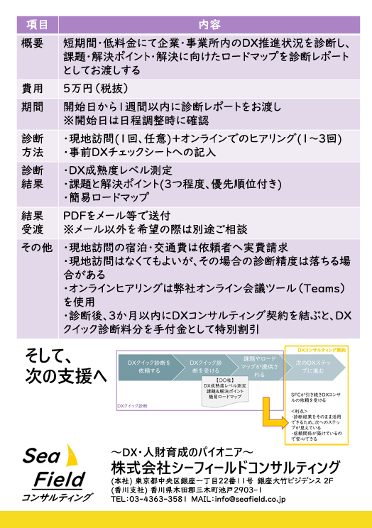 DXクイック診断チラシ(裏)